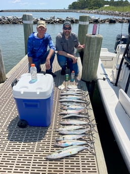 Spanish Mackerel Fishing in Gulf Shores, Alabama