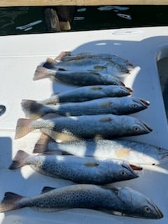 Fishing in South Padre Island, Texas