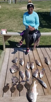 Black Drum, Flounder, Redfish, Speckled Trout / Spotted Seatrout fishing in Sulphur, Louisiana