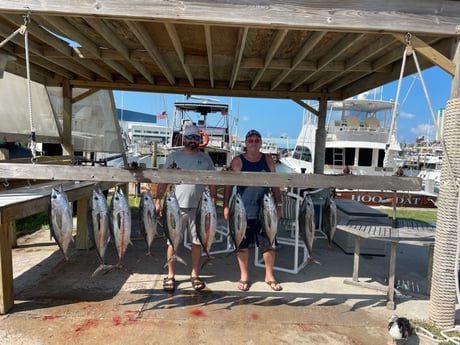 Blackfin Tuna Fishing in South Padre Island, Texas