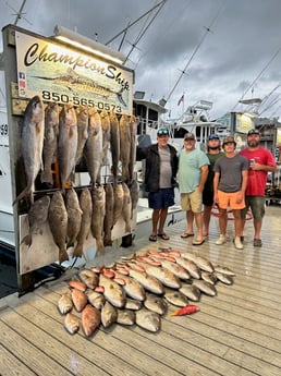 Amberjack, Gag Grouper, Red Snapper, Triggerfish Fishing in Destin, Florida