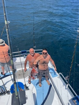 Red Snapper Fishing in Orange Beach, Alabama