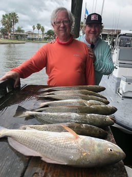 Redfish, Speckled Trout / Spotted Seatrout fishing in Galveston, Texas