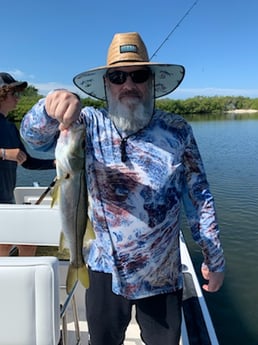 Largemouth Bass fishing in Clearwater, Florida