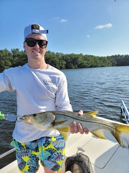 Snook Fishing in St. Petersburg, Florida