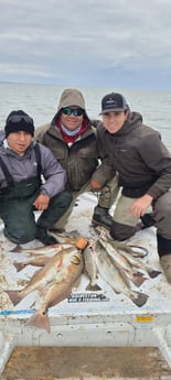 Redfish, Speckled Trout / Spotted Seatrout fishing in Galveston, Texas