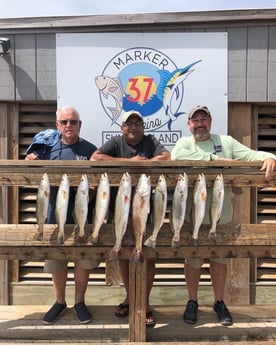 Redfish, Speckled Trout / Spotted Seatrout fishing in Corpus Christi, Texas