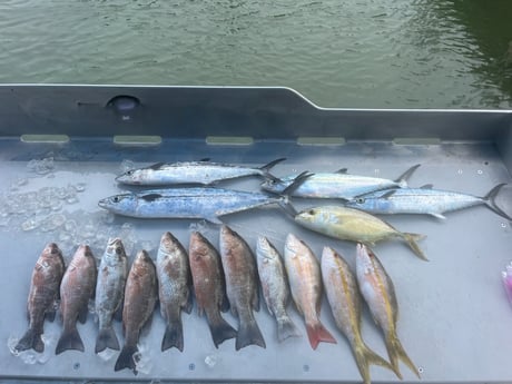 Fishing in Key West, Florida