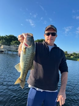 Largemouth Bass Fishing in Delray Beach, Florida