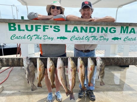 Black Drum, Redfish fishing in Corpus Christi, Texas