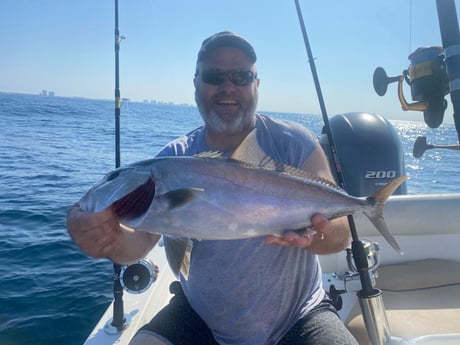 Amberjack Fishing in Destin, Florida