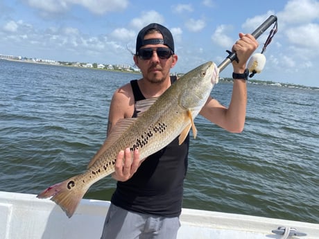 Fishing in Orange Beach, Alabama