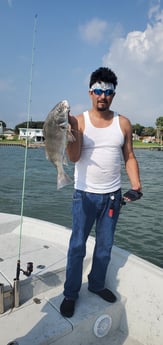 Black Drum fishing in Corpus Christi, Texas