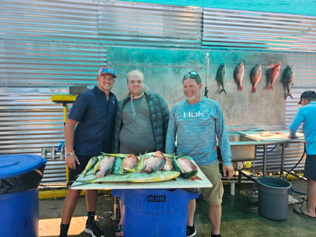 Amberjack, Mahi Mahi, Red Snapper Fishing in Destin, Florida