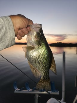 Fishing in Wellington, Florida