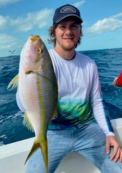 King Mackerel / Kingfish fishing in Marathon, Florida