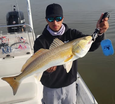 Redfish Fishing in Galveston, Texas