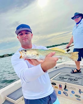 Speckled Trout / Spotted Seatrout fishing in Sarasota, Florida