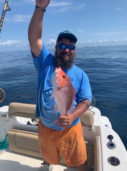 Red Snapper Fishing in Destin, Florida