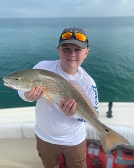 Redfish fishing in Sarasota, Florida