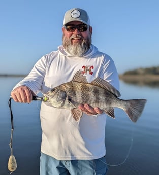 Black Drum Fishing in Jacksonville Beach, Florida