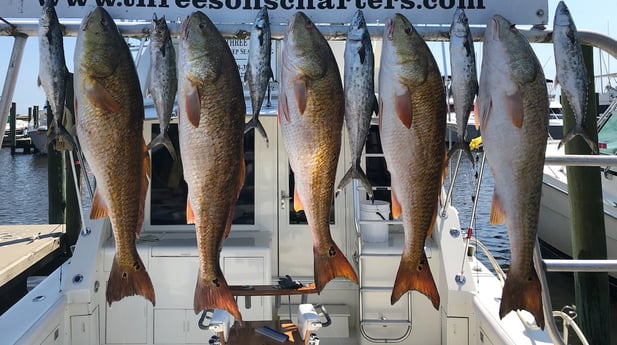 Redfish, Spanish Mackerel fishing in Biloxi, Mississippi