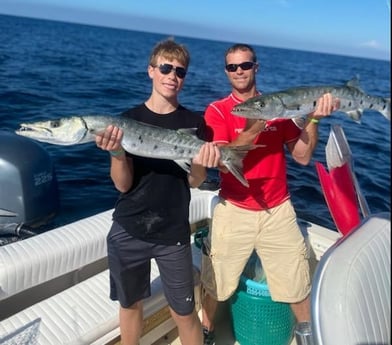 Barracuda Fishing in Sarasota, Florida