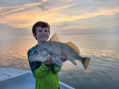 Black Drum fishing in Corpus Christi, Texas