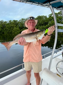 Redfish Fishing in Tarpon Springs, Florida