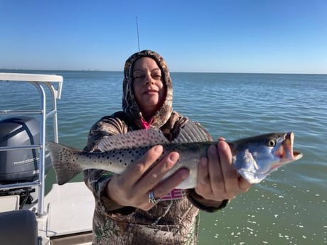 Speckled Trout / Spotted Seatrout Fishing in Corpus Christi, Texas