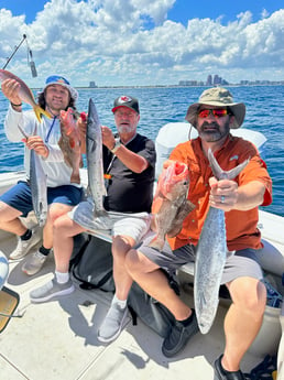 Barracuda, Kingfish, Red Grouper, Yellowtail Snapper Fishing in Fort Lauderdale, Florida