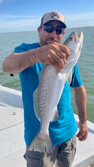 Speckled Trout / Spotted Seatrout fishing in Galveston, Texas