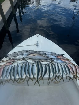 Fishing in Fort Lauderdale, Florida