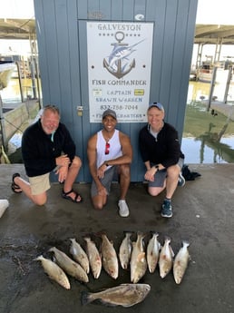 Redfish, Sheepshead, Speckled Trout / Spotted Seatrout fishing in Galveston, Texas