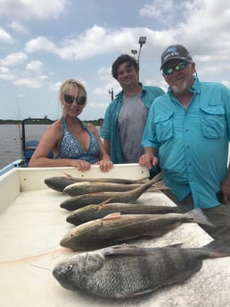 Black Drum, Redfish fishing in Galveston, Texas