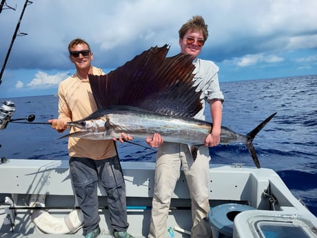 Sailfish Fishing in Key West, Florida