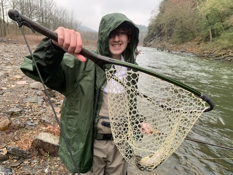 Rainbow Trout Fishing in Broken Bow, Oklahoma