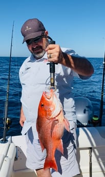 Red Snapper Fishing in Pensacola, Florida