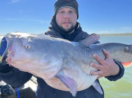 Blue Catfish Fishing in Dallas, Texas