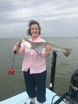 Speckled Trout / Spotted Seatrout fishing in Galveston, Texas