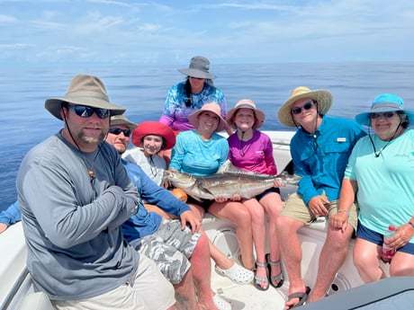 Cobia fishing in St. Augustine, Florida