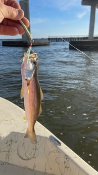 Snook fishing in Santa Rosa Beach, Florida