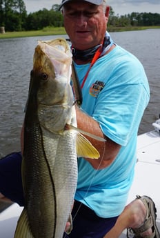 Snook Fishing in Jacksonville, Florida