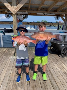 Mangrove Snapper, Red Snapper Fishing in Orange Beach, Alabama