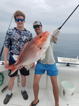 Red Snapper Fishing in Orange Beach, Alabama