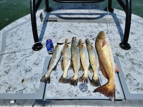 Redfish, Speckled Trout Fishing in South Padre Island, Texas