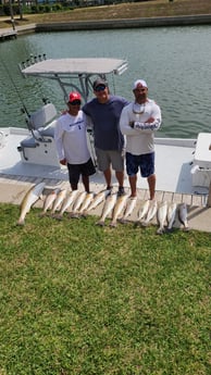 Black Drum, Redfish fishing in Port O&#039;Connor, Texas