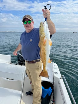 Redfish Fishing in Orange Beach, Alabama