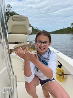 Redfish Fishing in Santa Rosa Beach, Florida, USA