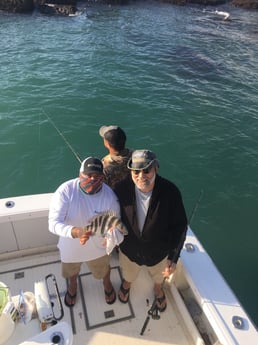 Sheepshead fishing in South Padre Island, Texas